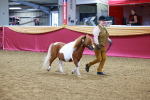 SBM_00292