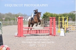 BPP_1683