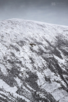 Near the summit, Mynydd Mawr