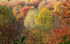 Stourhead gardens during autumn_008