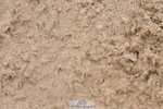 230511A-140440-00899