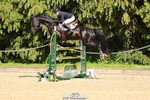 480-FLOW_7-Mollie_Summerland-SJ portfolio