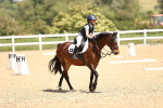 SBM_008655