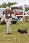 Spirit of the Dog Funday July 2010 portfolio