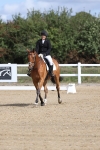 SBM_001351