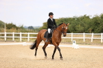 SBM_007232