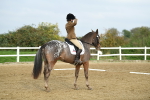 LAD_5505