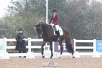 Cls 8 BD Young Horse 4YO portfolio