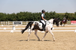 SBM_004261