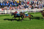 240726-Race 2-Vaguely Royal-0232