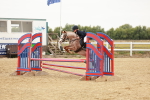 SBM_008420