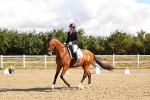 SBM_003647