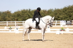 Class 12 - Novice 5 - 12.02-12.44 portfolio
