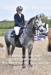 CLASS 2 FRI Club/ Unaffiliated 80cms Open portfolio