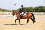 SBM_003387