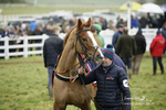 PtP 020122 518