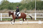SBM_003852