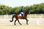 SBM_009543