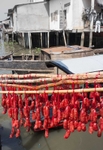 Sausages drying, Mekong Delta