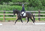 BPP_0497