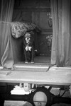 Loyal Friend