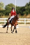 SBM_008198