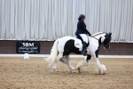 SBM_003145