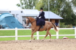 SBM_03420