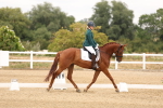 SBM_000914