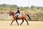 SBM_003533