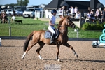 Cls 4 Junior 1.10m Open portfolio