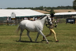 SBM_06771