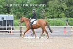 BPP_9331