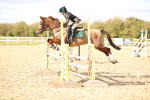 SBM_003688