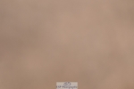260602-165347-00046
