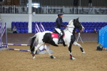 SBM_000731