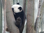 CHINA__0068