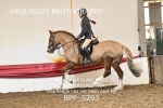 BPP_5293