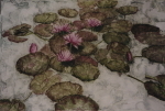 Waterlilies