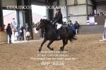 BPP_6536