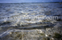 Bonefish on the Flats.