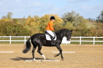 SBM_001115