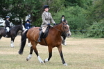 WJ7_1279