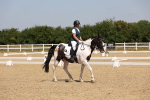 SBM_004275
