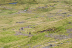 Borrowdale-898