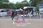 BPP_2667