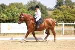 SBM_004139