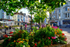 Flowerbedsat The Triangle Teignmouth