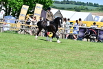 SBM_08027