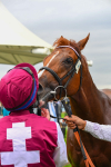 230823-Race 7-Zoulu Chief-1015